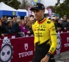 Van Aert bijt van zich af en zegt waarom hij Milaan-Sanremo kan winnen