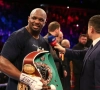 Bokser Dillian Whyte dan toch vrijgesproken van doping 