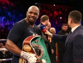 Bokser Dillian Whyte dan toch vrijgesproken van doping 