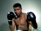 Vier jaar na zijn dood: Muhammad Ali blijft voor altijd 'The Greatest'